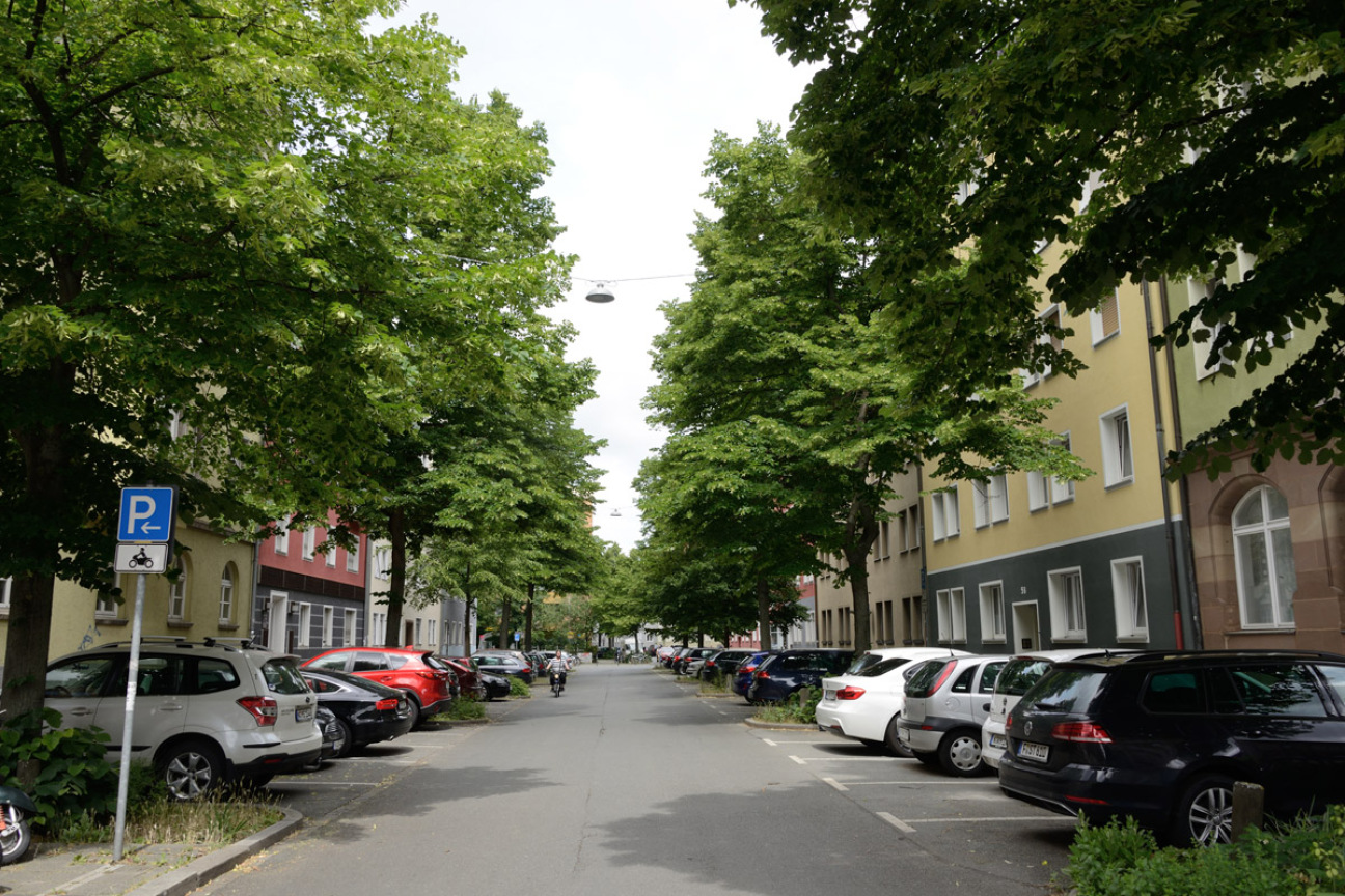 Straße mit Bäumen von der Bäume für Nürnberg Stiftung, Bild © Thomas Stephan                              