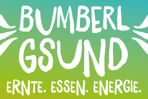 Titelbild und Schriftzug des Bildungsprogramms Bumberlgsund