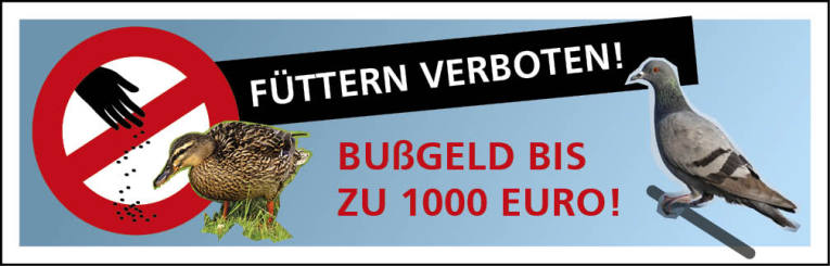 Tauben Fütterung Bußgeld 1000 Euro