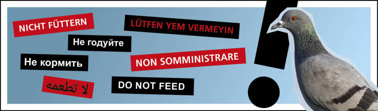 Tauben füttern verboten in verschiedenen Sprachen