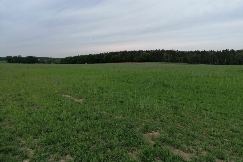 Flächenagentur Nürnberg