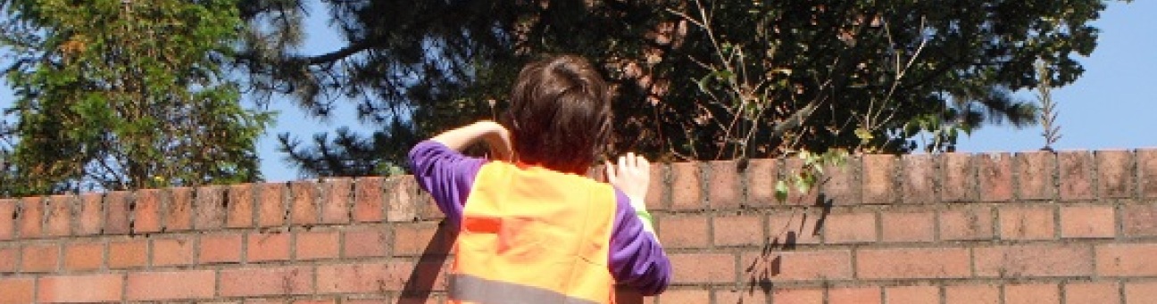 Bild © Bild: Umweltstation Nürnberg Stadt-Na(h)tur entdecken - auf der Mauerkrone, Bild © Bild: Umweltstation Nürnberg