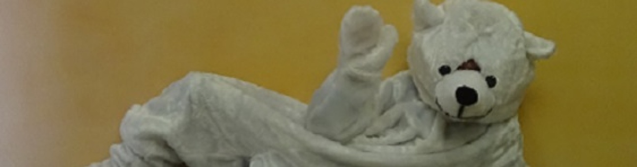 Bild © Bild: Umweltstation Nürnberg Eisbär, Bild © Bild: Umweltstation Nürnberg