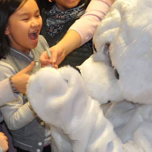 Eisbär © EUW / Stadt Nürnberg