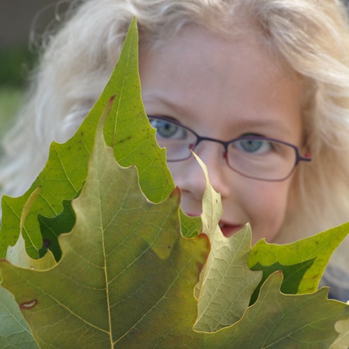 Kind mit Blatt © EUW / Stadt Nürnberg