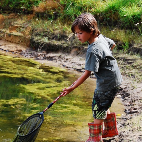 Kind mit Kescher © Pixabay