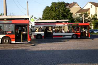 Bus an einer Bushaltestelle