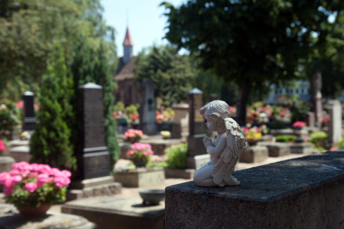 Rochusfriedhof © Stadt Nürnberg