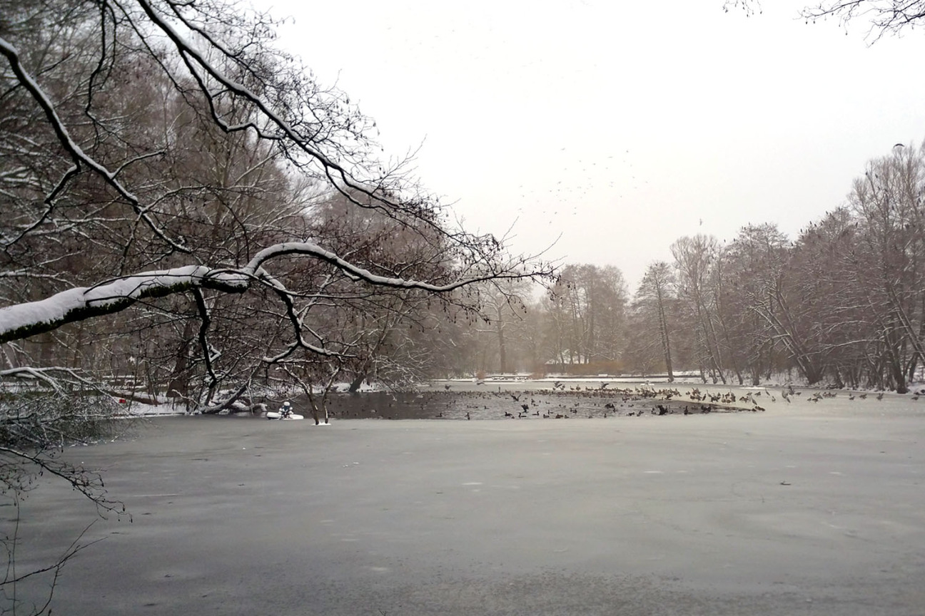 Tiergarten Nürnberg, Bild © Heike Bauer / Stadt Nürnberg