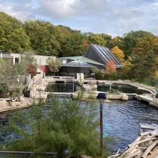 ( Bild: Anna Böhm / Tiergarten Nürnberg ) Delphinlagune im Tiergarten Nürnberg - Oktober 2022
