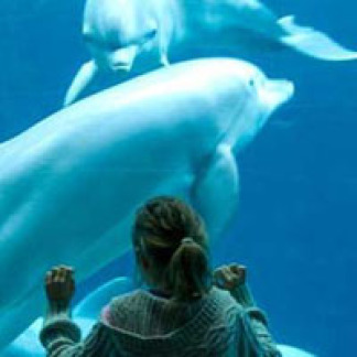 ( Bild: Tiergarten / Tiergarten / Stadt Nürnberg )