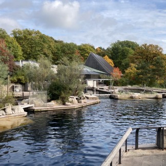 ( Bild: Anna Böhm / Tiergarten Nürnberg ) Delphinlagune im Tiergarten Nürnberg - Oktober 2022.