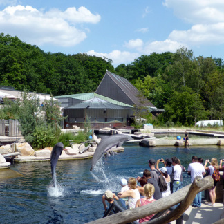 ( Bild: Kristina Schroll / CTZ Nürnberg )