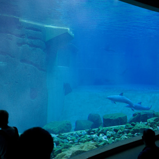 ( Bild: Christine Dierenbach / Stadt Nürnberg ) Blauer Salon Lagune Tiergarten Nürnberg