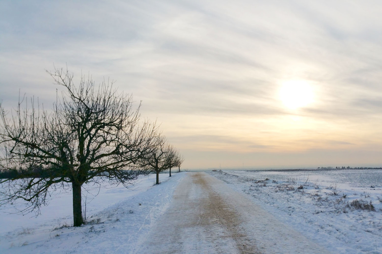 Kalchreuther Drachenberg im Winter, Bild © Heike Bauer / Stadt Nürnberg