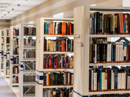 Das Bild zeigt Bücher·regale in einer Bibliothek.