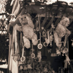 1950: Hier leuchten Kinderaugen: Teddybären warten auf neue kleine Besitzer.