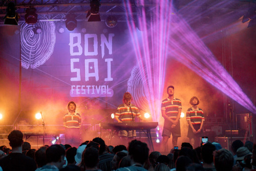 Die Band Fritzi Ernst auf der Bühne des Bonsai Festivals am Abend.