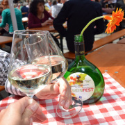 Anstoßen mit Weingläsern am Nürnberger Weinfest