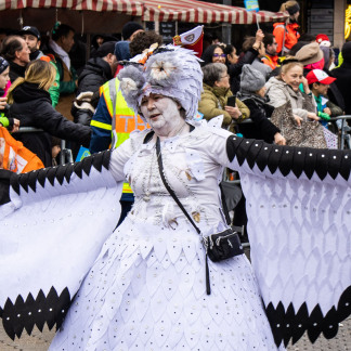 ( Bild: Thomas Langer / Stadt Nürnberg ) Faschingszug 2024 in Nürnberg