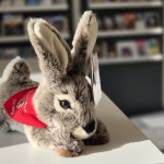 Der fair produzierte Kuschelhase „Albrecht“.