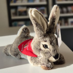 Der fair produzierte Kuschelhase „Albrecht“.