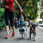 Eine Frau läuft mit zwei Hunden an der Leine auf einem Fußweg in der Stadt.