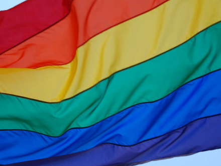 Das ist die Regen·bogen·fahne. Die Regen·bogen·fahne ist das Symbol für die Gleichberechtigung von LGBT.