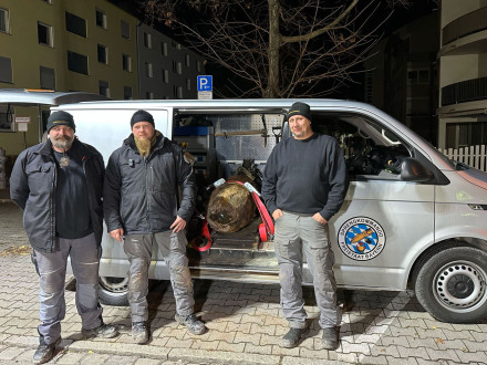 Foto von den Spreng·meistern Heiko Büchl, Florian Süß und Michael Weiß.
