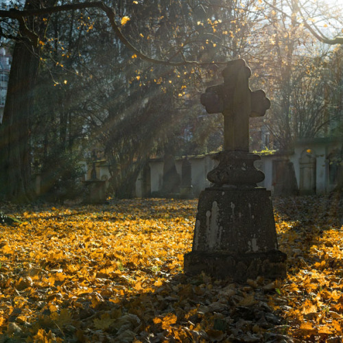 © Pixabay Friedhof im Herbstlaub © Pixabay