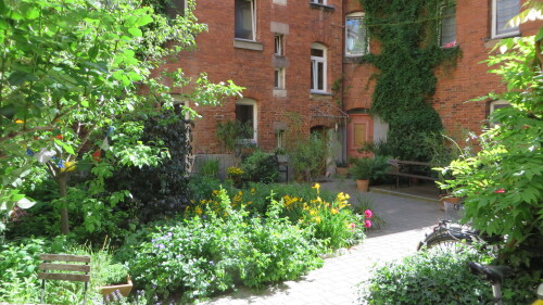 Begrünter Hinterhof in der Denisstraße © Umweltamt / Stadt Nürnberg