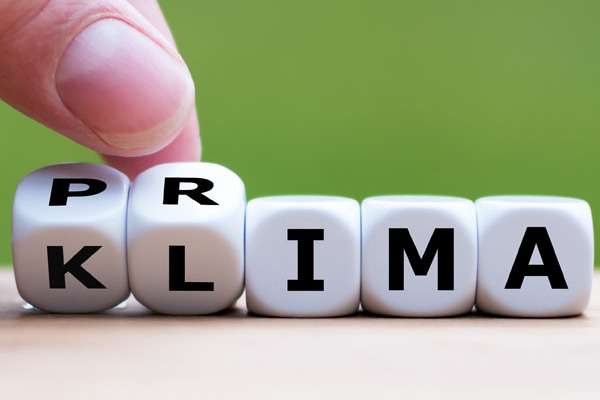 Würfel bilden die Worte Klima und Prima