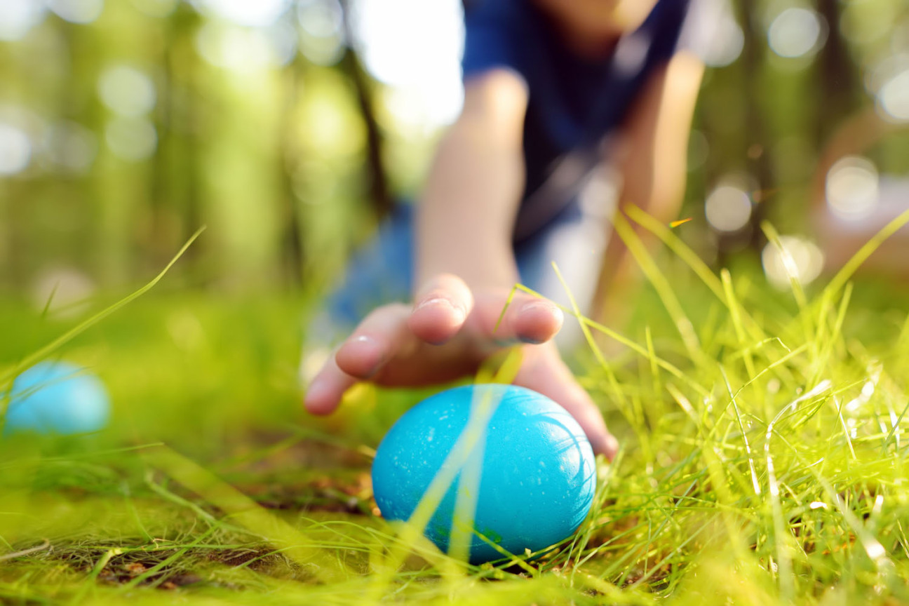 Ein kleiner Junge findet ein blau gefärbtes Osterei in der Wiese., Bild © Maria Sbytova / AdobeStock