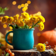 Gelbe Herbstblumen in einer blauen Vase.