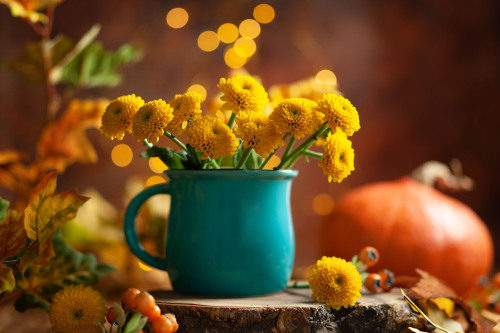Gelbe Herbstblumen in einer blauen Vase.