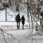 Zwei Spaziergänger in einem winterlichen Park.