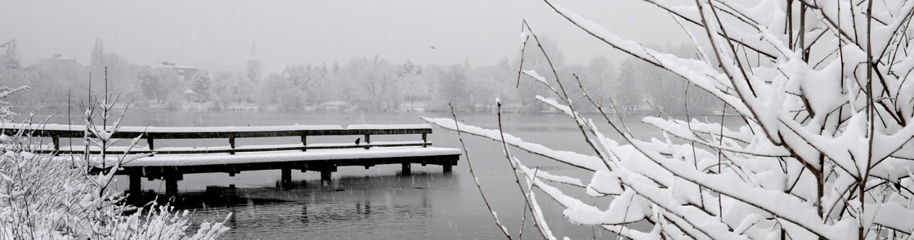 Winter am Wöhrder See, Bild © Christine Dierenbach / Stadt Nürnberg