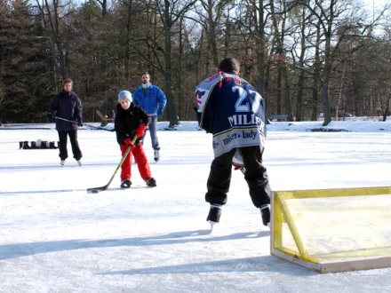Foto von 4 Personen beim Eis·hockey am Valznerweiher. Der Valznerweiher ist zugefroren., Bild © Christine Dierenbach / Stadt Nürnberg