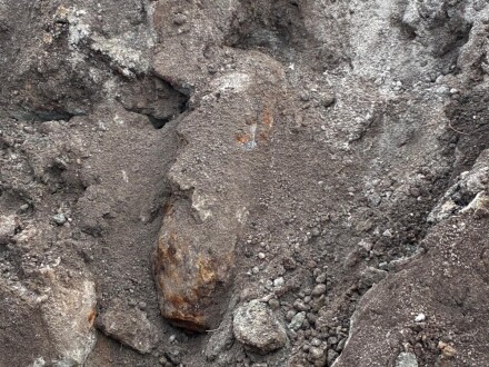 Foto von der Bombe in der Avenarius·straße in Nürnberg.