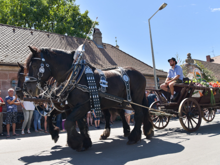 Foto von einer Kutsche mit 2 Pferden beim Kirchweih·umzug in Almoshof., Bild © Christine Dierenbach / Stadt Nürnberg