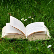Ein aufgeschlagenes Buch auf einer grünen Sommerwiese.