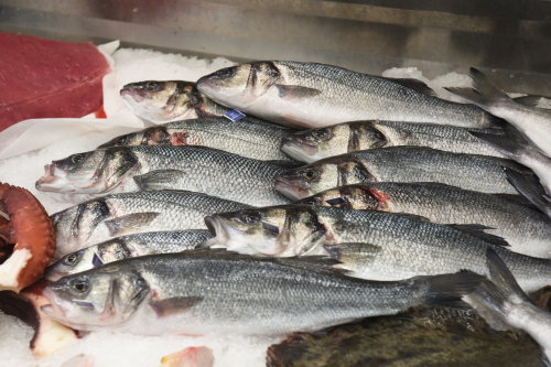 Fischtheke bei "NewSea & Streetfood" in der Ladenzeile am Großmarkt