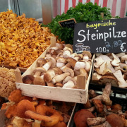 Kisten mit verschiedenen Pilzsorten an einem Marktstand