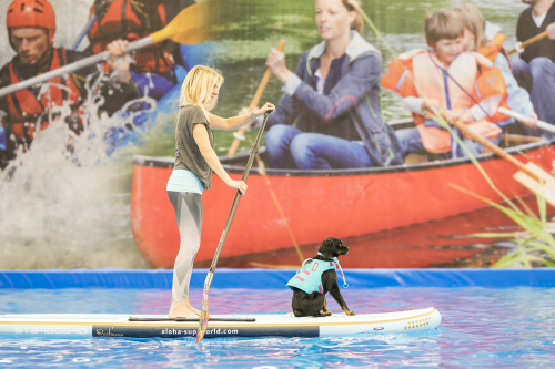 Eine Person steht auf einem Stand up Paddeling Board und sticht ein Paddel ins Wasser. Vor ihr sitzt ein Hund auf dem Board. Das Board befindet sich in einem mit Wasser gefüllten Becken auf der Freizeitmesse. Im Hintergrund sind große Werbeplakate mit kanufahrenden Menschen und Kajakfahrern im Wildwasser zu sehen.
