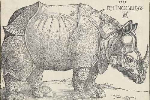 Albrecht Dürer: Rhinocerus, Nürnberg, 1515, Holzschnitt, Germanisches Nationalmuseum, Nürnberg.