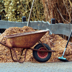 Schubkarre voller Herbstlaub.