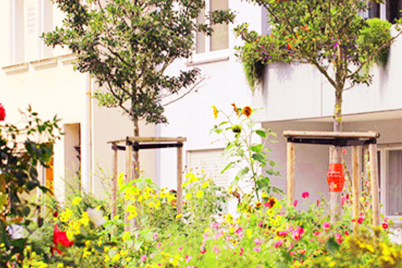 Bild © gruenstifter Blütenmeer in der Stadt, Bild © gruenstifter