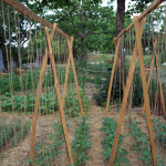 Weltacker in Nürnberg