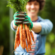 Junge Frau mit frisch geernteten Karotten in der Hand.