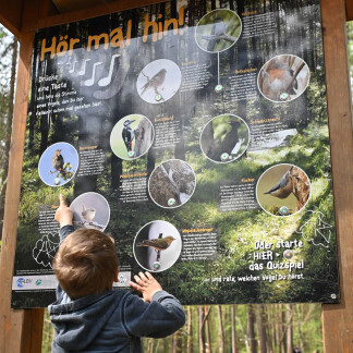 Kind vor Infotafel im Reichswald